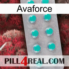 Avaforce 28